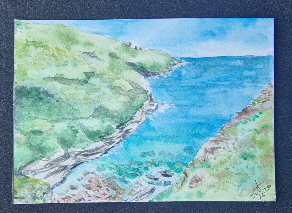 Original art ACEO'S Cactus