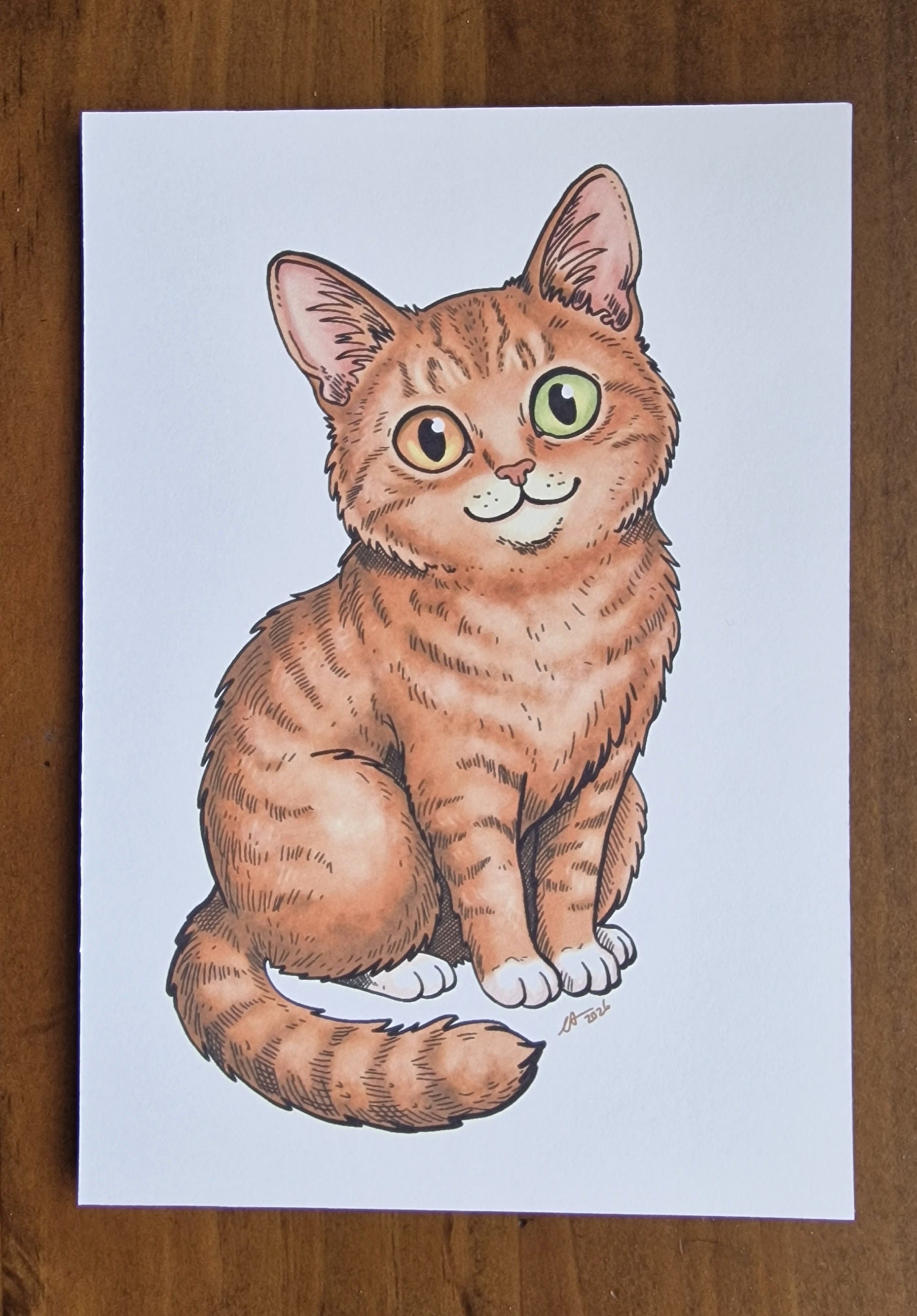 Ginger Cat Postcard sized limited edition print