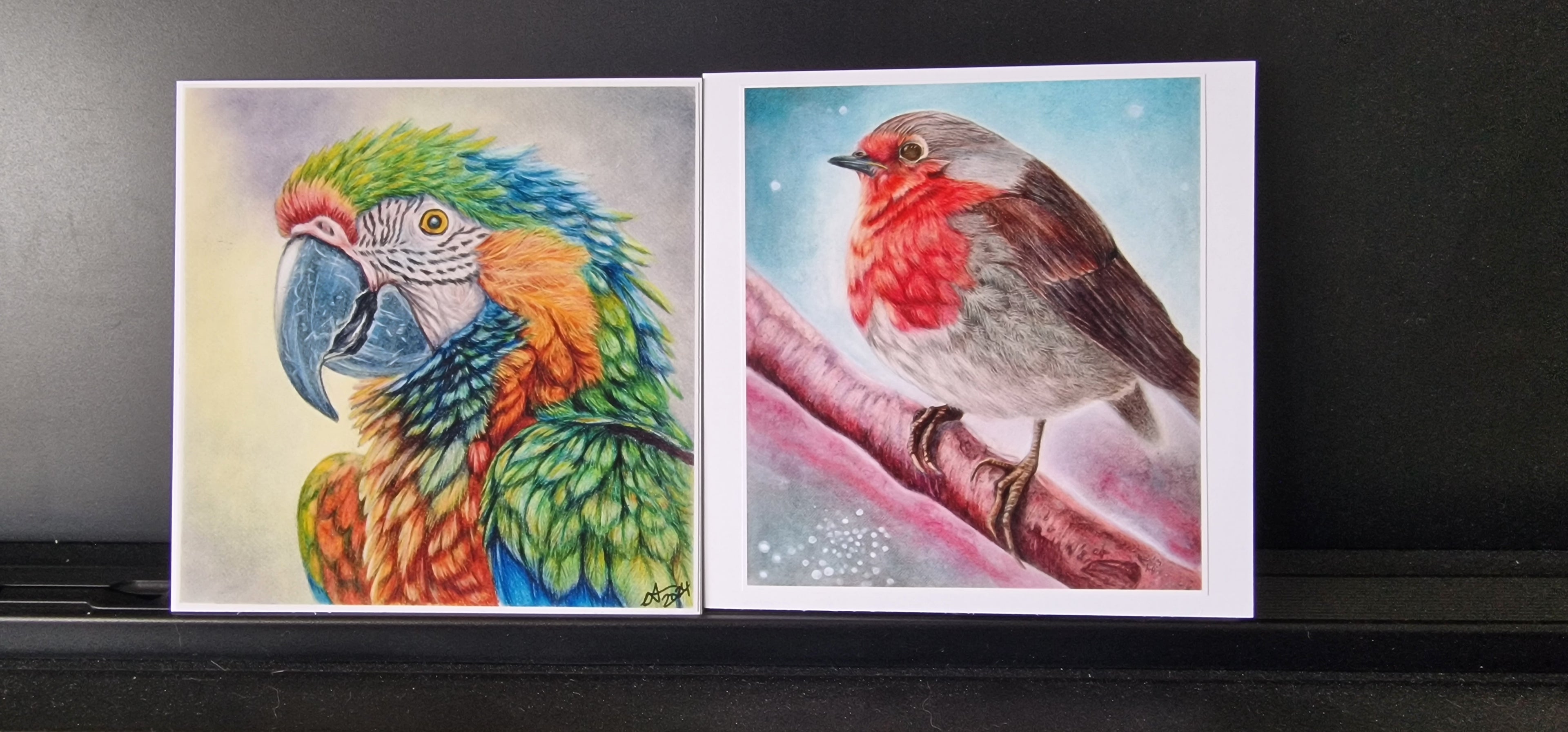 Bird greeting cards