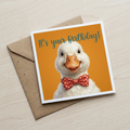 Cute Duck Birthday card