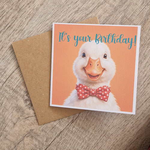 Cute Duck Birthday card